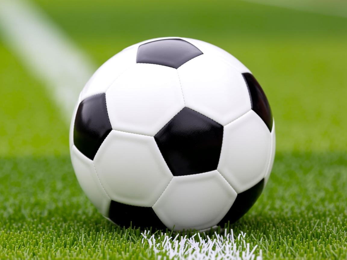 开云体育在线下载-恒大击败申花,喜获胜利,稳定领先优势!  第2张