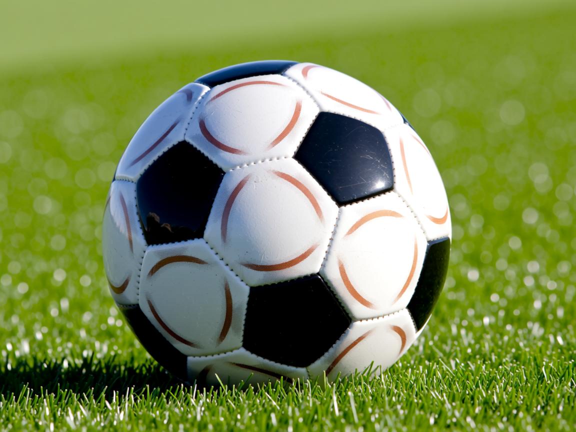 kaiyun网址-塞尔维亚队客场击败卢森堡，赢得胜利  第2张