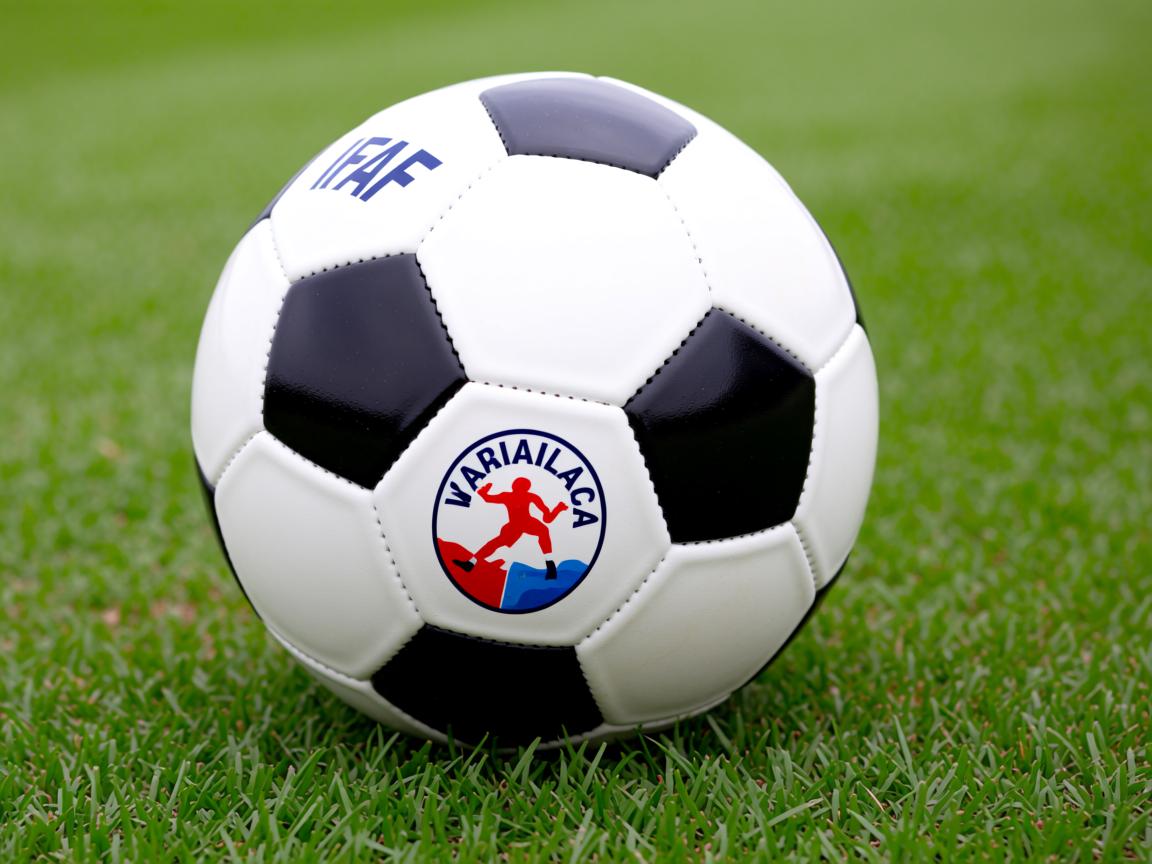 开云体育官网app-亚冠赛场中日韩球队上演焦点之战,中日韩足球 第3张