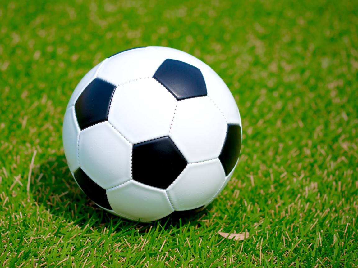 开云体育app在线-女篮新星职业首秀砍下两双表现惊艳，女球员篮球  第3张