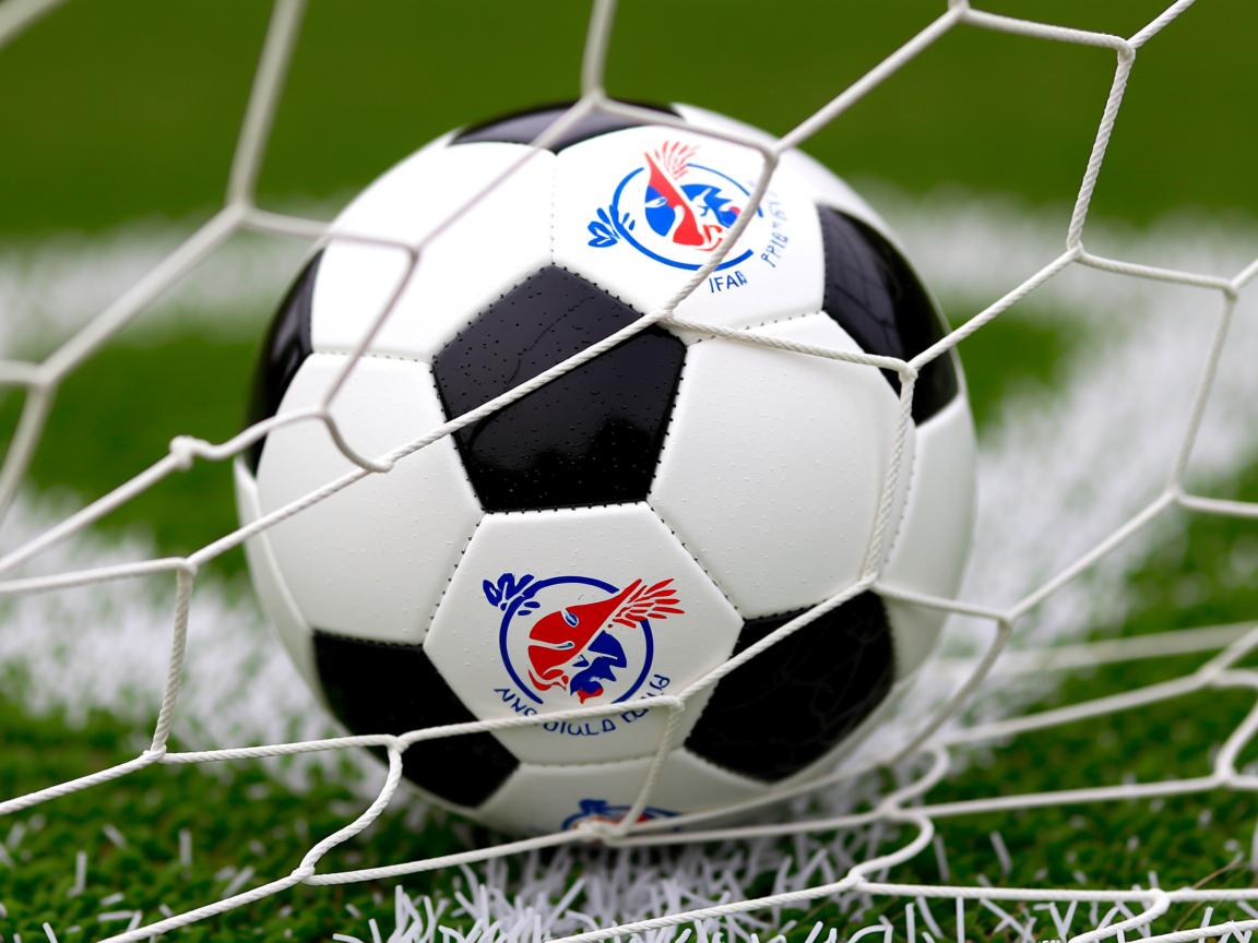 开云体育-新加坡队赛制解析：如何利用赛制的变化调动球员的竞技状态，新加坡队第几个出场